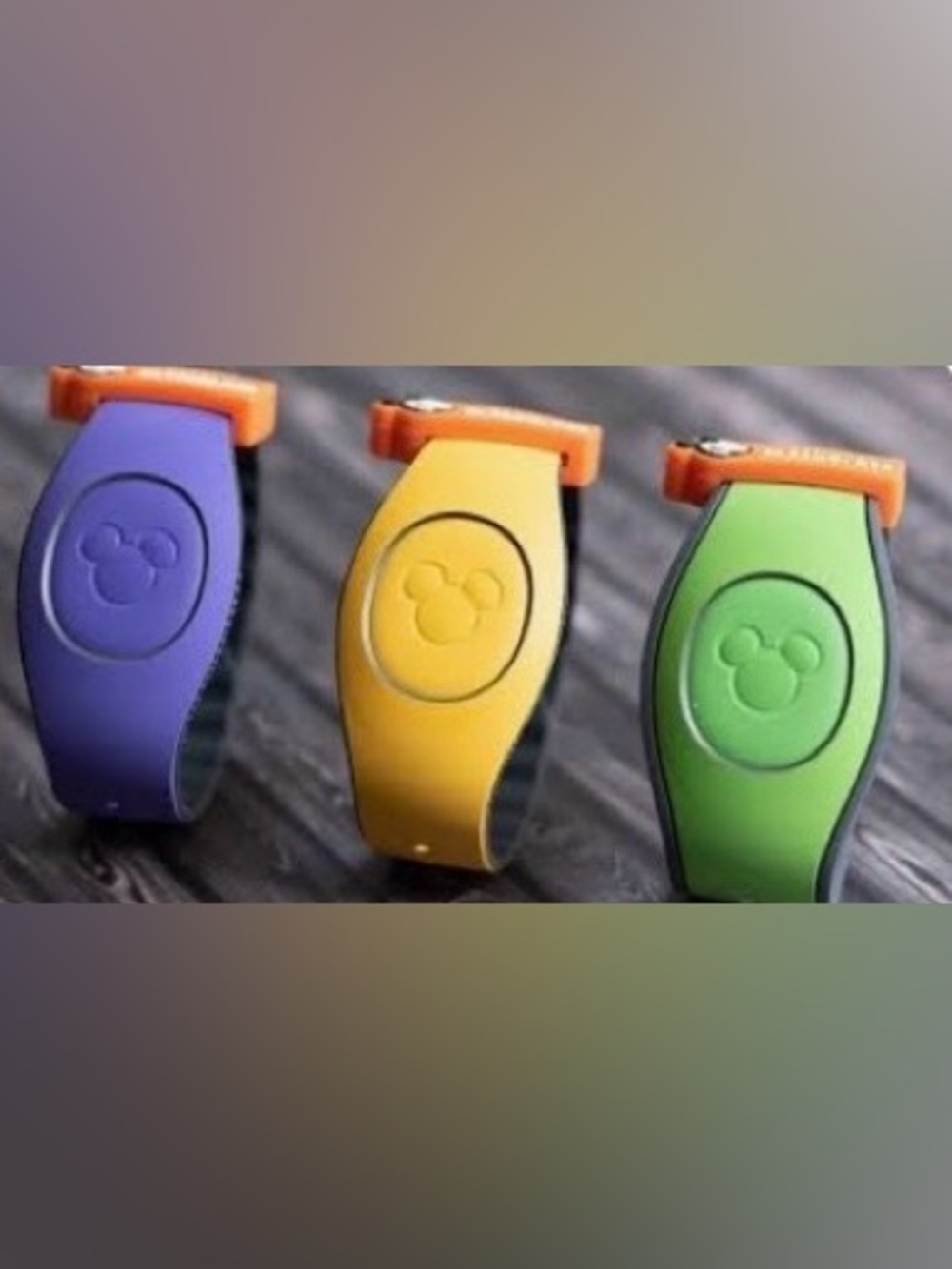 Discontinued Orange Disney Passholder slider